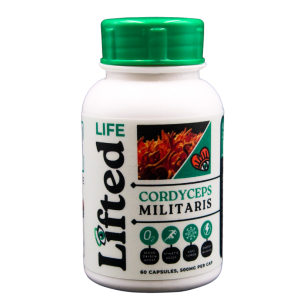 Cordyceps Militaris - 500mg - 60 Capsules