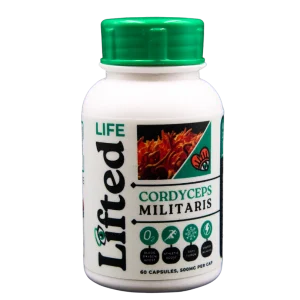 Cordyceps Militaris - 500mg - 60 Capsules