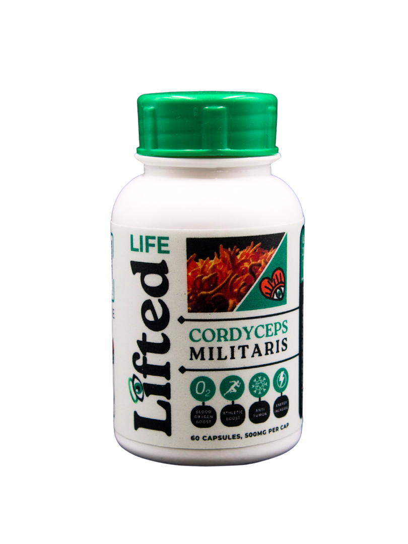 Cordyceps Militaris - 500mg - 60 Capsules