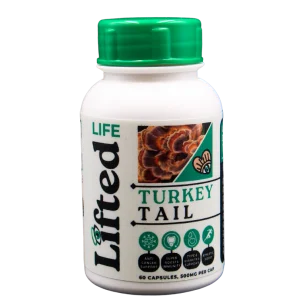 Turkey Tail - 500mg - 60 Capsules