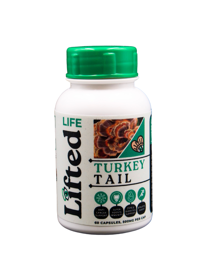 Turkey Tail - 500mg - 60 Capsules